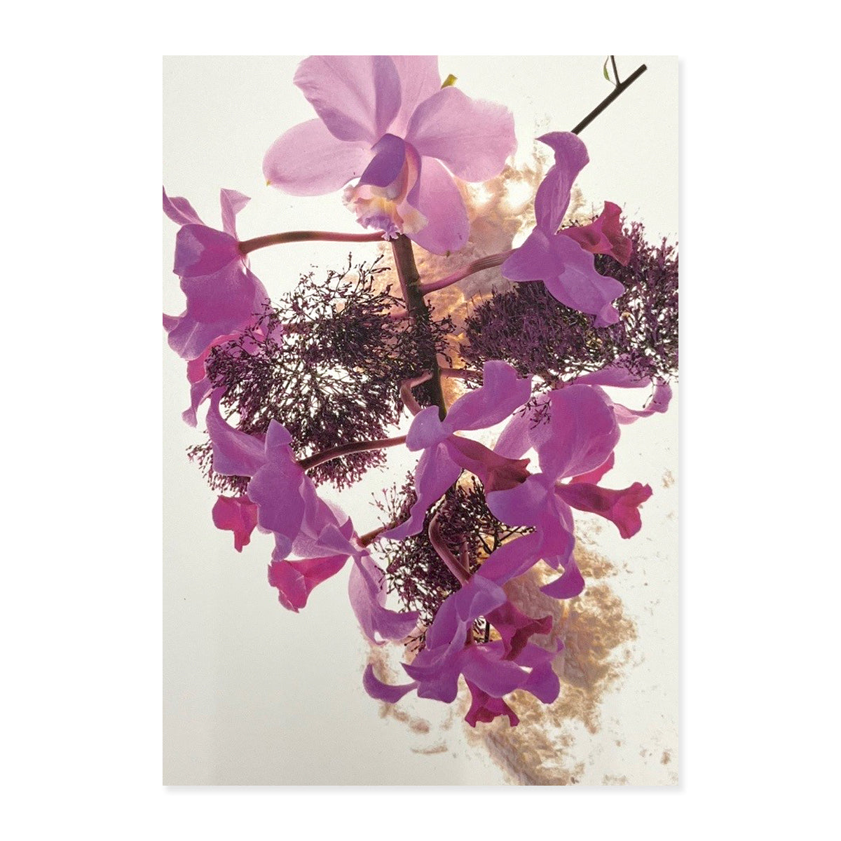 Greeting Cards (Set of 6s) - Set B