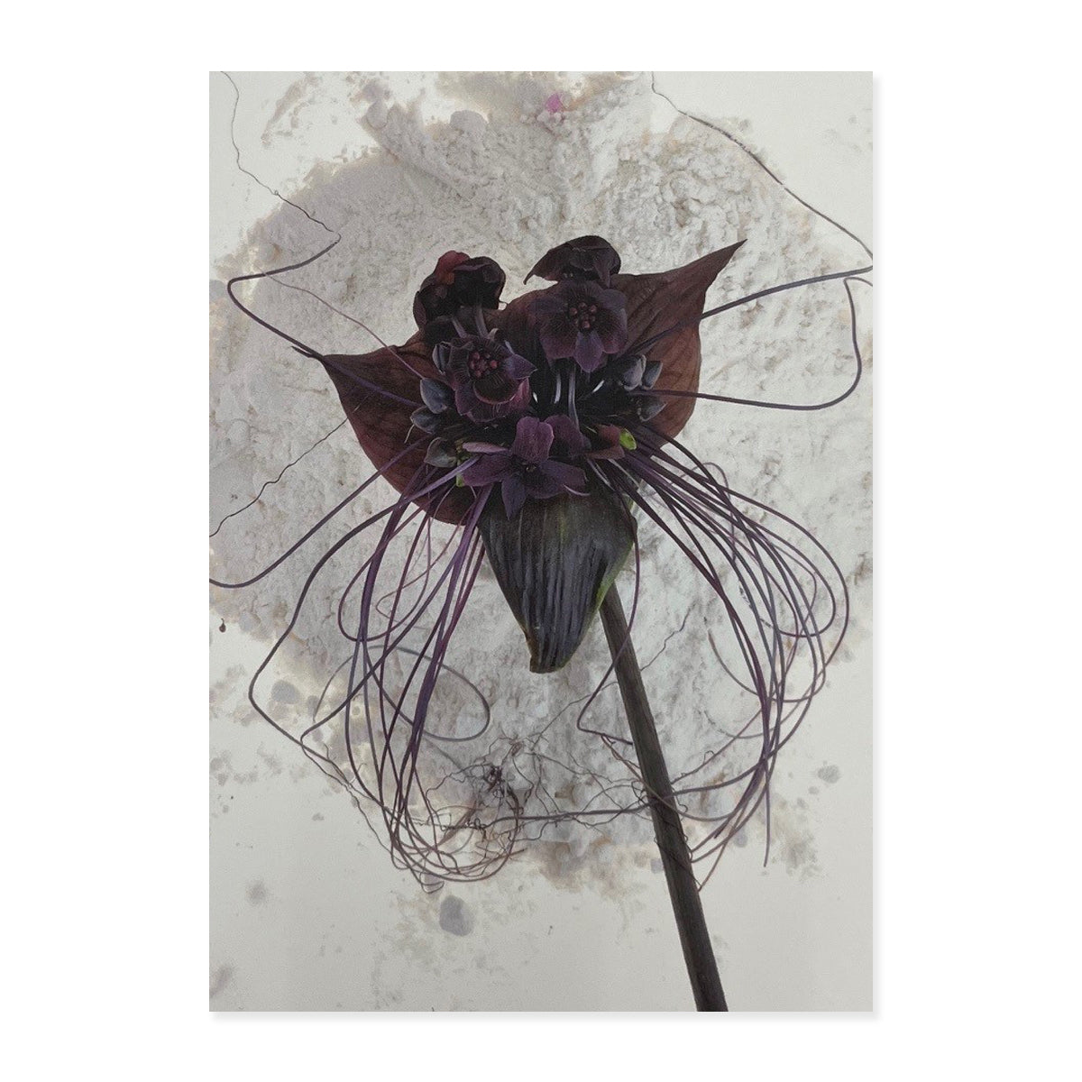 Greeting Cards (Set of 6s) - Set B