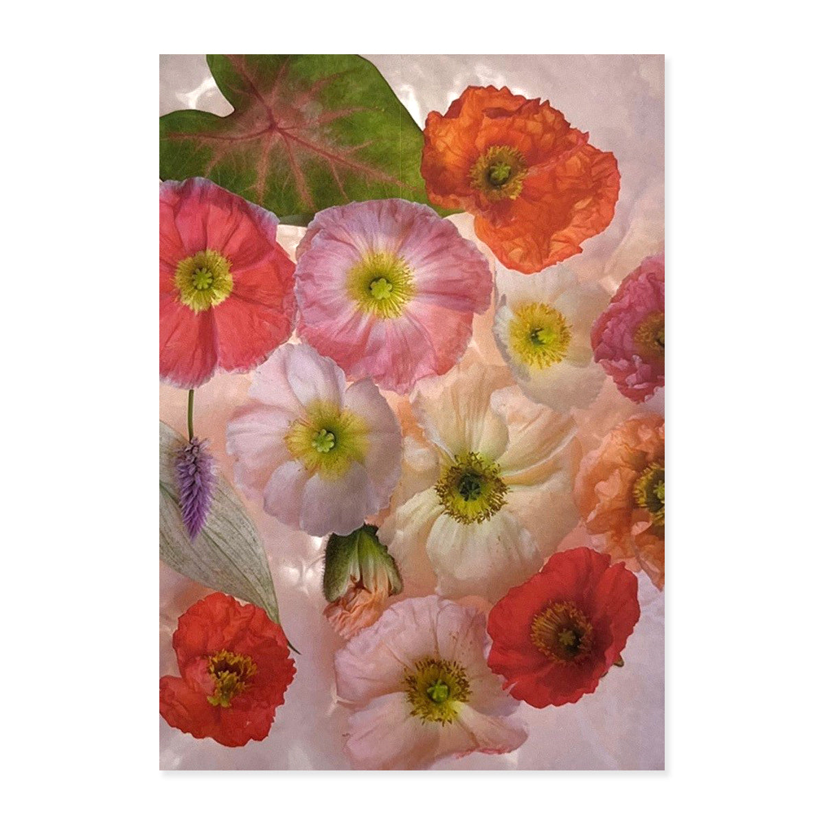 Greeting Cards (Set of 6s) - Set B