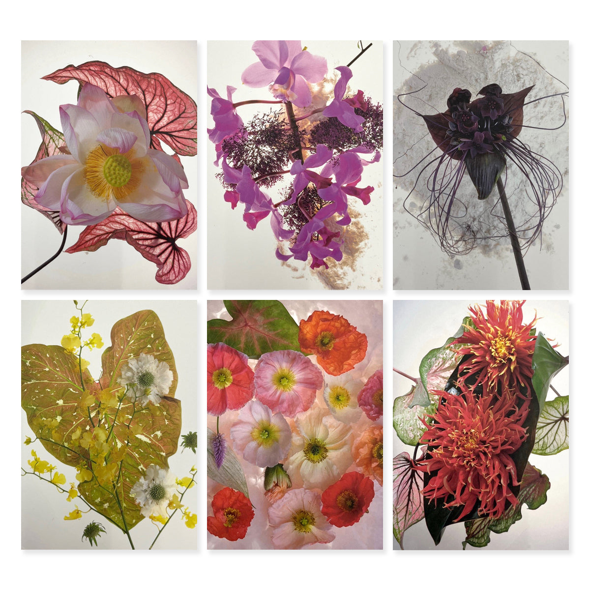 Greeting Cards (Set of 6s) - Set B