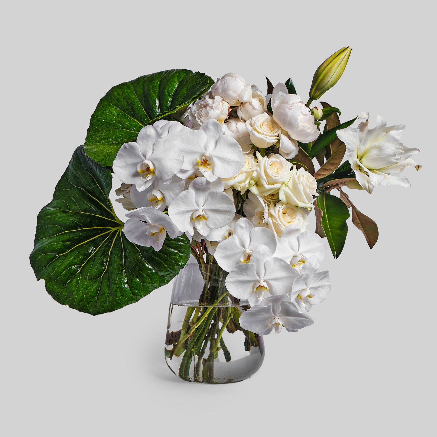 White And Green