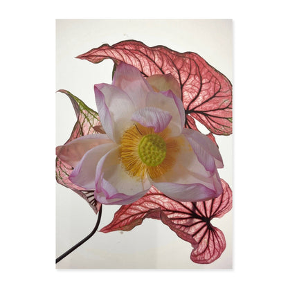 Greeting Cards (Set of 6s) - Set B