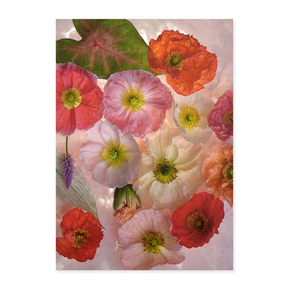 Greeting Cards (Set of 6s) - Set B