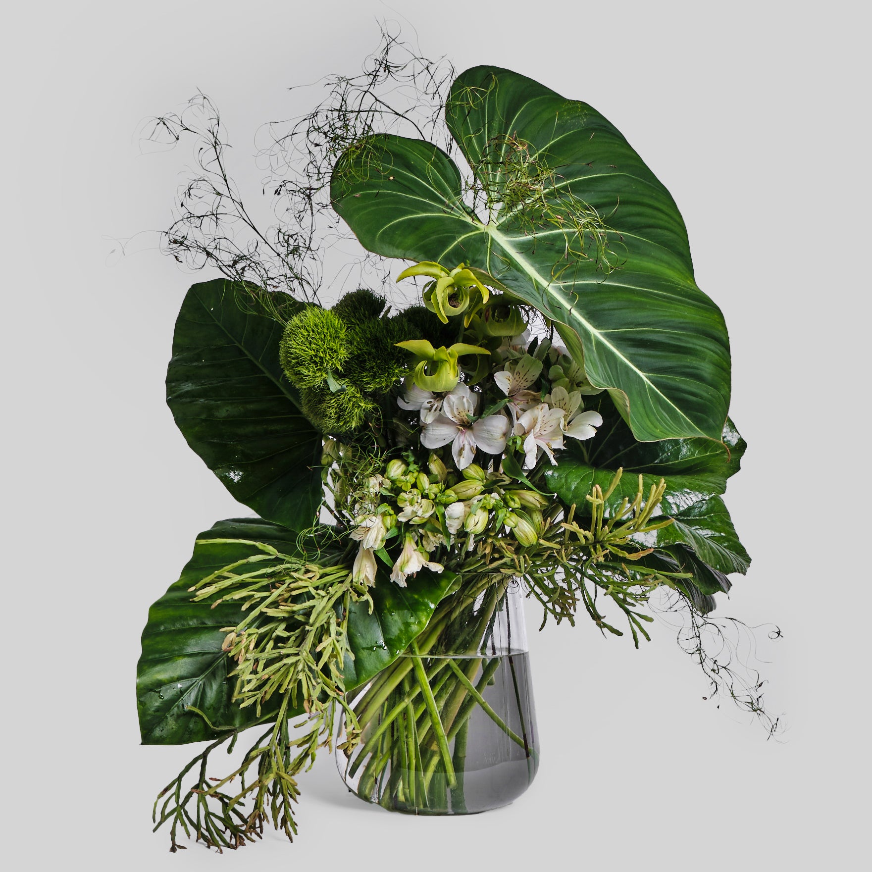 Shop All – Grandiflora Singapore